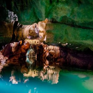 Excursión al Parque Natural de la Albufera