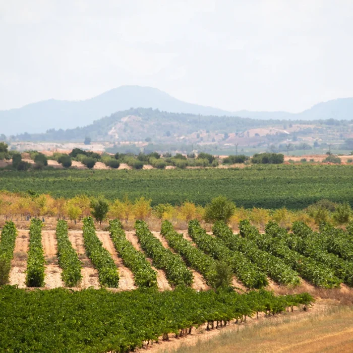 Mejores Excursiones en Valencia Este Otoño