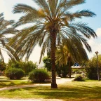 img-blog-planes-gratis-valencia