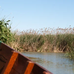 Excursión al Parque Natural de la Albufera