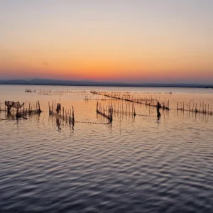 Excursión cruceros al Parque Natural de la Albufera