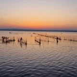 parque-natural-albufera_10