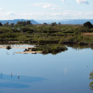 Excursión cruceros al Parque Natural de la Albufera