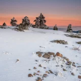 Escapada en la nieve