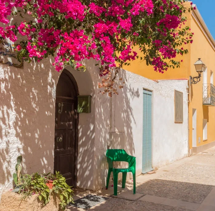 Excursión a la isla de Tabarca